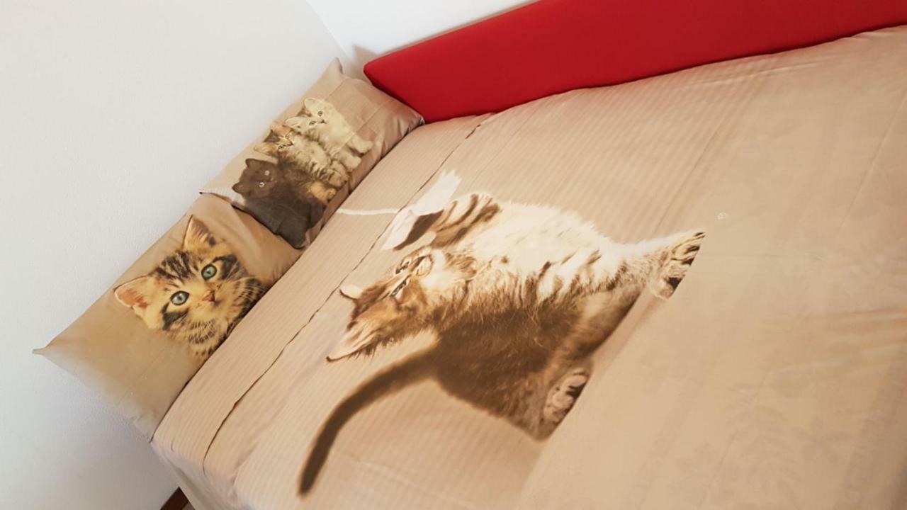 Elisa'S House Διαμέρισμα Ταορμίνα Εξωτερικό φωτογραφία